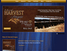 Tablet Screenshot of harvestangus.com